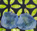Redfish scale earrings